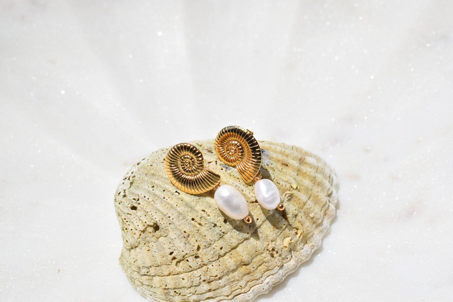 Sundial Shell Earrings