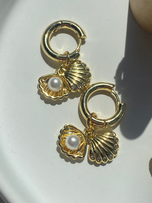 Collecting shells earrings