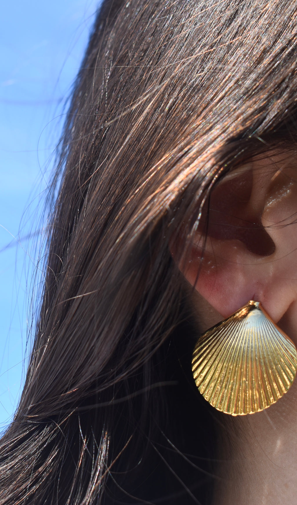Maretta Scallop Shell Earrings