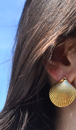 Maretta Scallop Shell Earrings