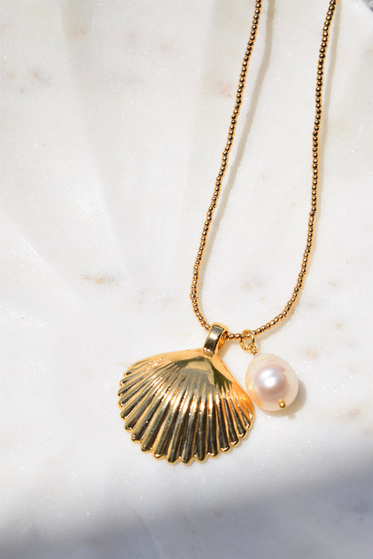 Golden Scalloped Shell Necklace
