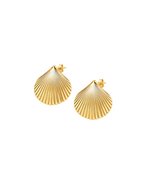 Maretta Scallop Shell Earrings
