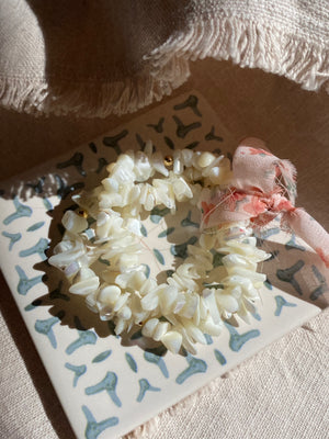 Costal shell bracelet set of 3