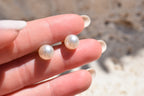 Staple pearl studs