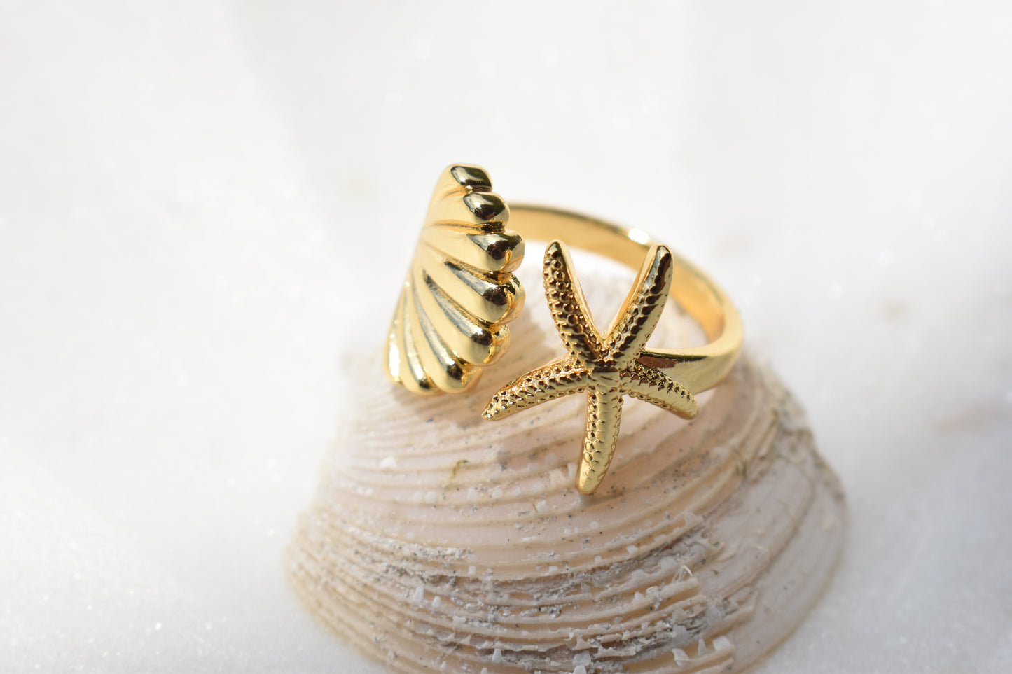 Beachside Shell’s Ajustable Ring