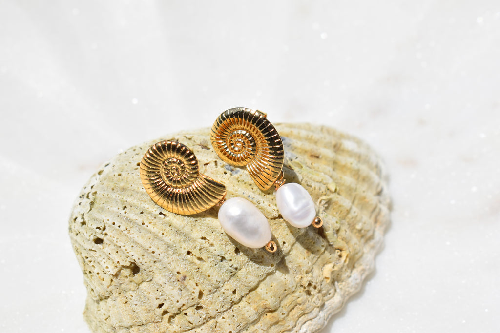 Sundial Shell Earrings